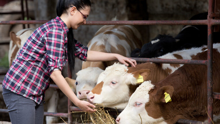 Днес изтича срокът за заявления от земеделците по схемата „Де минимис“