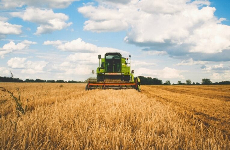 Земята поскъпна с 600% за 14 години