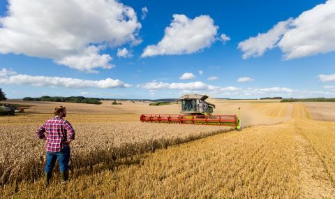 Изплащат по-рано субсидиите на фермерите