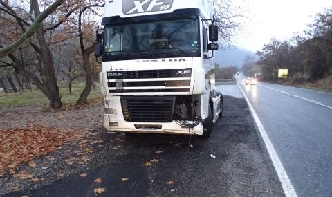 Тир блъсна стадо биволи на АМ „Струма“