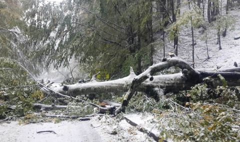 Временно е ограничено движението през прохода „Петрохан“