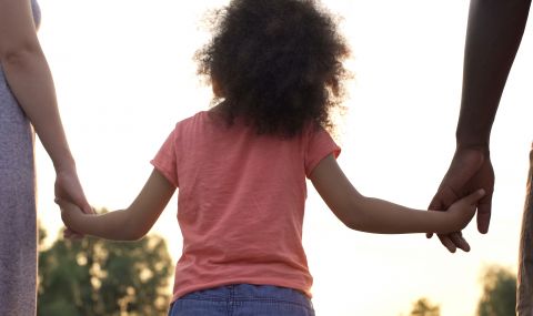 Нидерлания забрани осиновяванията на деца от чужбина