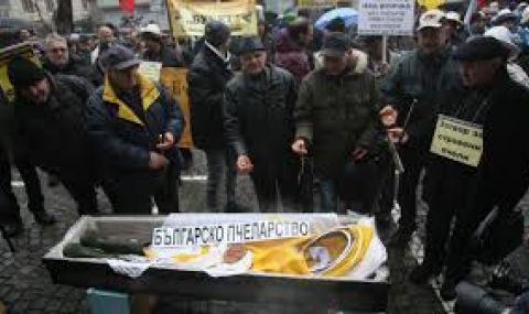 Пчеларите излизат на протест