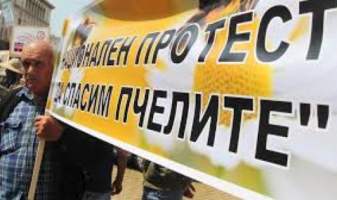 Пчеларите са готови за национален протест