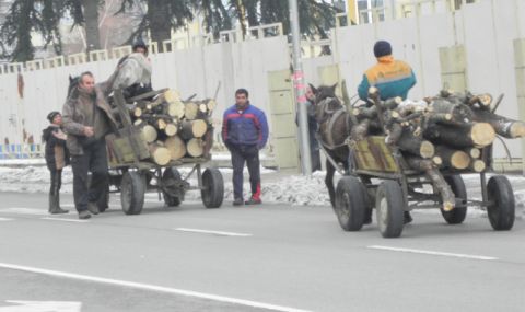 Война между цигани и горски служители, село Зимница е под полицейска обсада