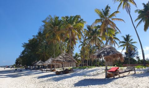 Занзибар е приел над 3000 български туристи за 3 месеца