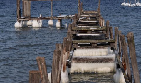 Рибари със сигнали за бедстващ делфин, накрая го спасиха сами