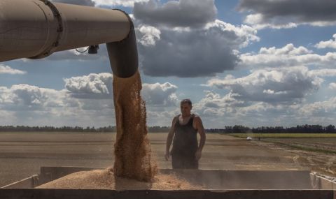 Разтрогнаха ключов договор за 240 000 тона украинска пшеница