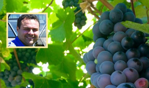 Лозарите на бунт! Ще разливат вино пред Министерството на земеделието! Калин Йорданов пред ФАКТИ