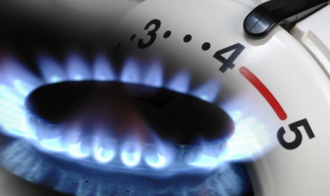 Гepмaнcĸият eнepгиeн peгyлaтop пpизoвa гpaждaнитe дa пecтят гaз, зa дa пpeживeят нopмaлнo зимaтa