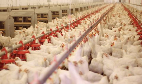 „Градус“ отчита значителен спад на приходите