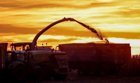 Ето кога ще се възстанови една от най-важните житници в света