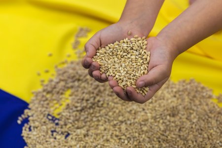 По-високи цени на зърнопроизводителите, докато се борим за по-евтини храни на пазара