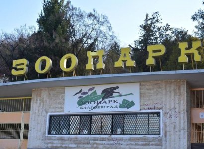 Пет мъртви кошути и елени са открити в благоевградския зоопарк