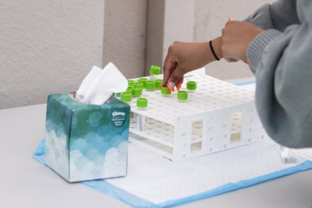 Нови 296 случая на коронавирус у нас