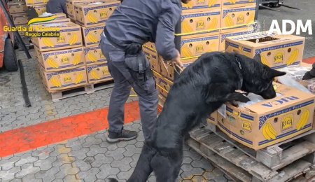 Белгия арестува български шофьор за трафик на 700 кг кокаин