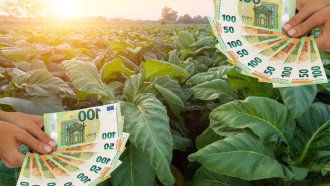 Как държавата хариза стотици милиони за виртуален тютюн