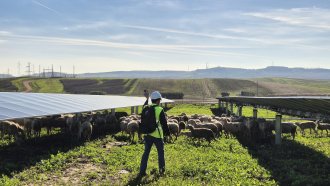 Защо Испания произвежда „слънчево сирене“, а в България то ще е мираж