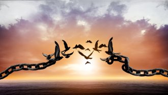 Индекс на човешка свобода 2024: Пандемията изтри години подобрение. България е с две десетилетия назад