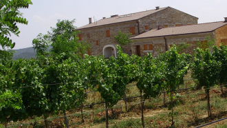 Биодинамична ферма от Странджа и нейните храни за „силен имунитет“