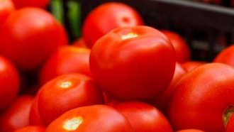 САЩ наложиха 17% мито на мексиканските домати