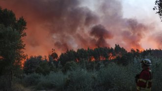 Освен техника за гасене, има и други решения срещу горските пожари