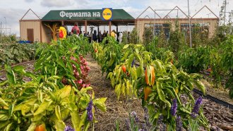 „Фeрмата на Lidl“ – образователна градина от ново поколение