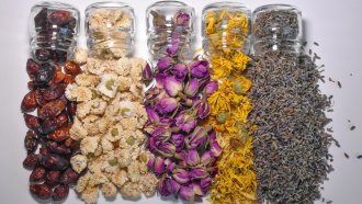 Бизнес с мисъл и желание носи печалби от другия край на света в с. Ягода